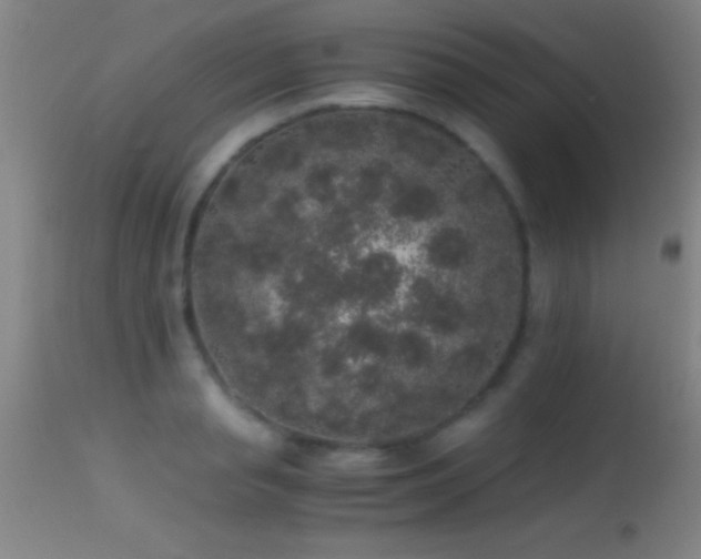 X0000114660845200910201529