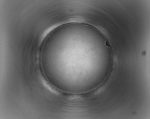 X0000114660846200910201529