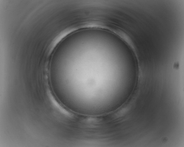 X0000114660847200910201529