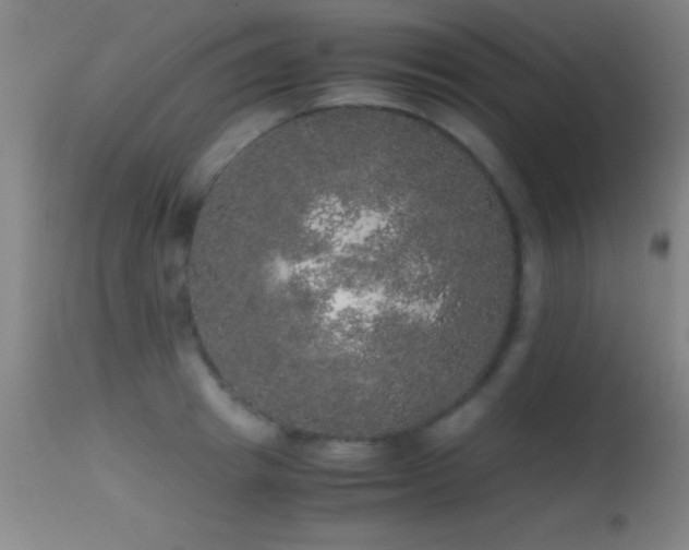 X0000114660849200910201529