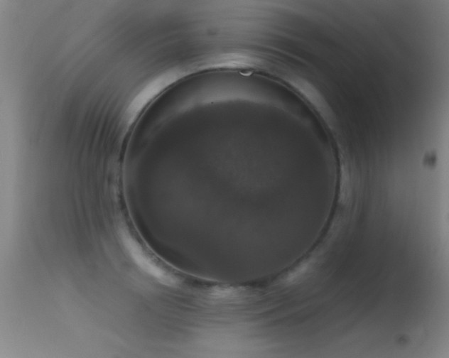 X0000114660850200910201529