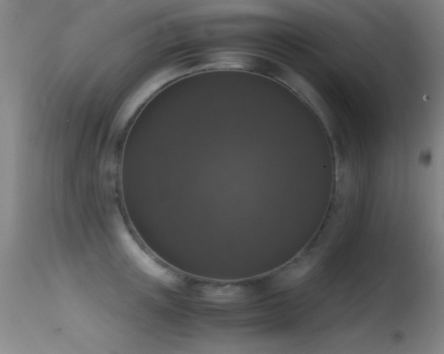 X0000114660851200910201529