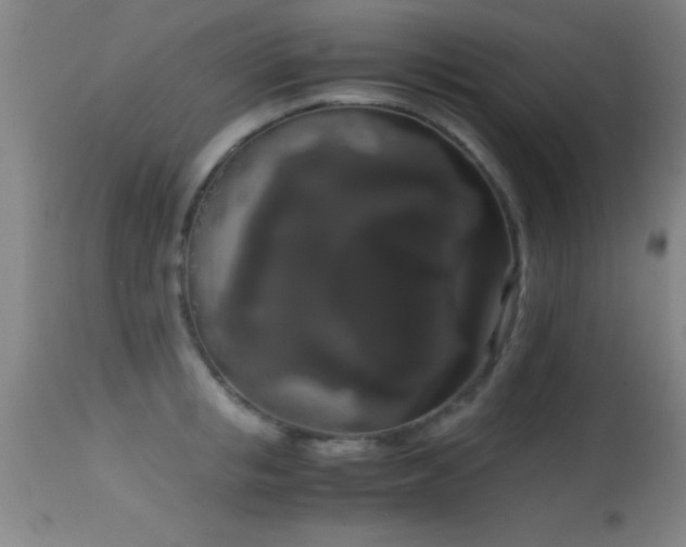 X0000114660853200910201529