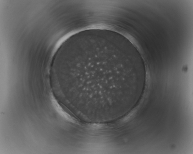 X0000114660854200910201529