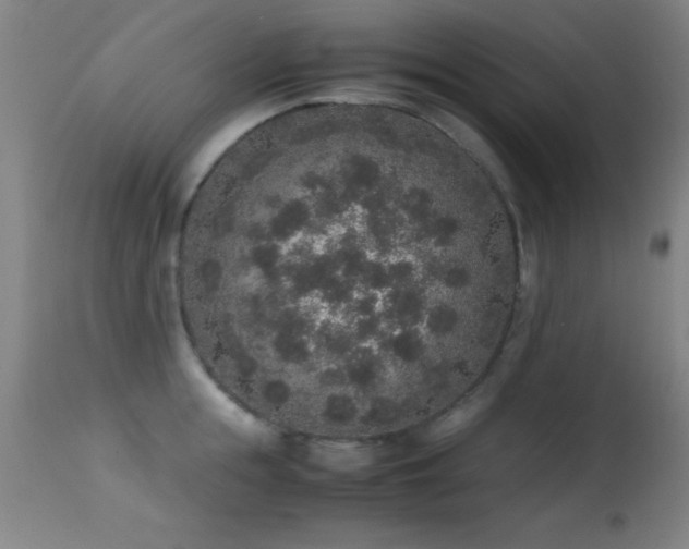 X0000114660855200910201529