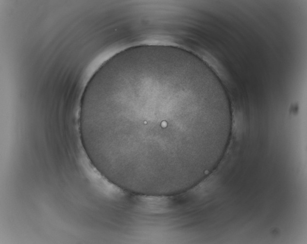 X0000114660856200910201529