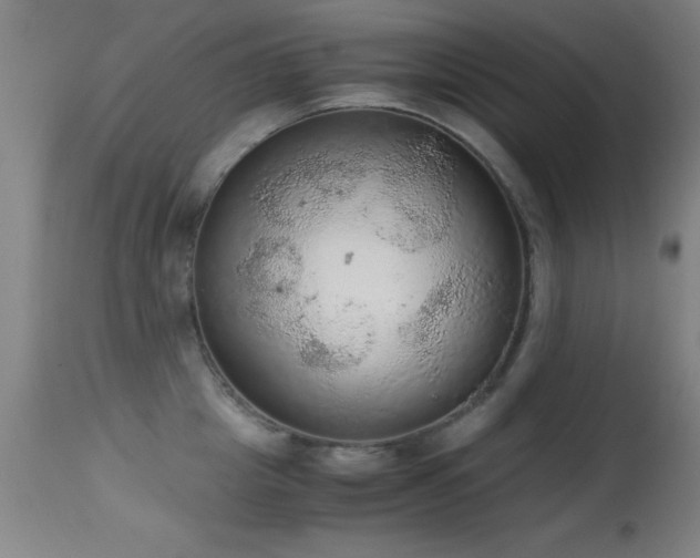 X0000114660857200910201529