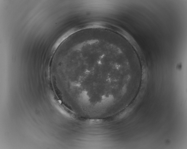 X0000114660858200910201529