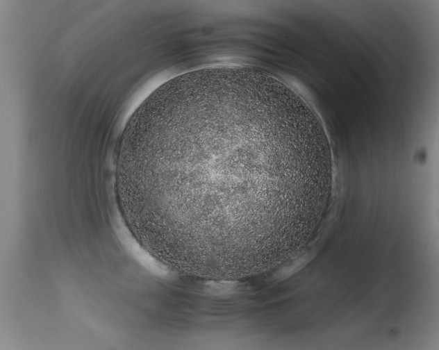 X0000114660859200910201529