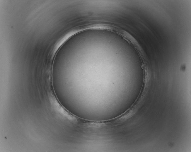 X0000114660860200910201529