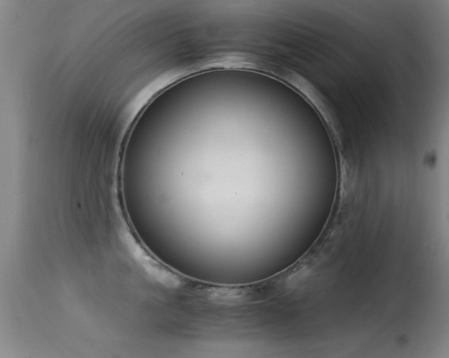 X0000114660861200910201529