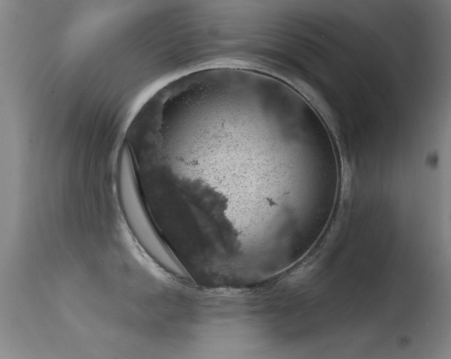 X0000114660862200910201529