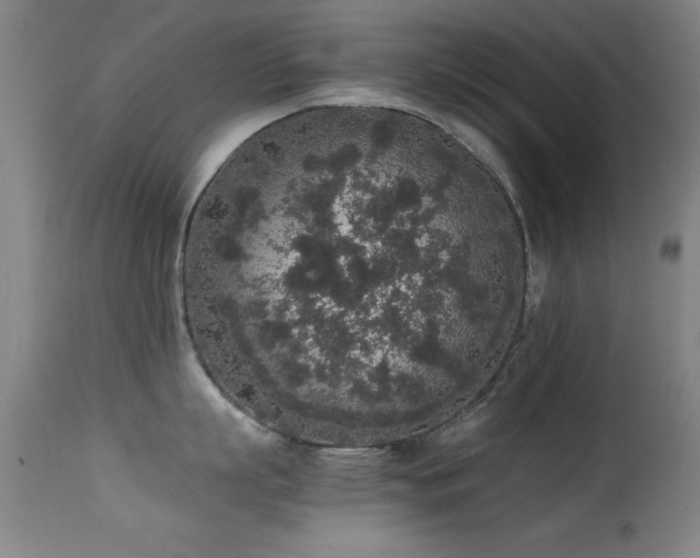 X0000114660863200910201529