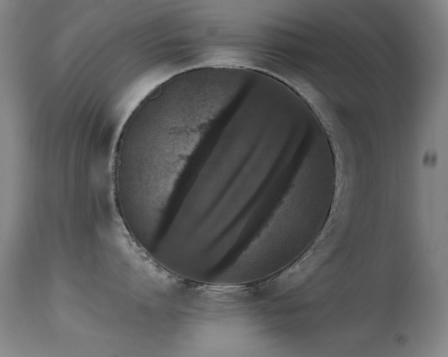 X0000114660864200910201529