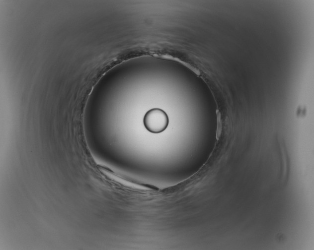 X0000114660865200910201528