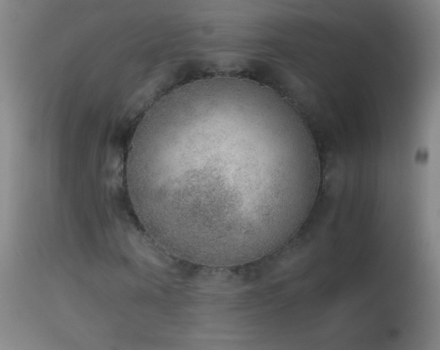 X0000114660866200910201528