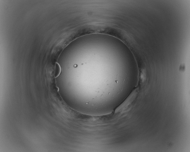 X0000114660867200910201528