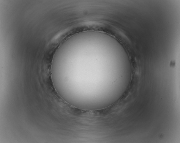 X0000114660869200910201528