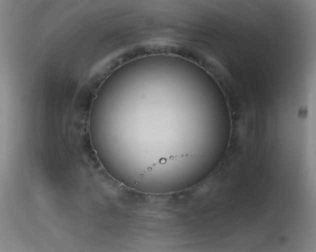 X0000114660870200910201528