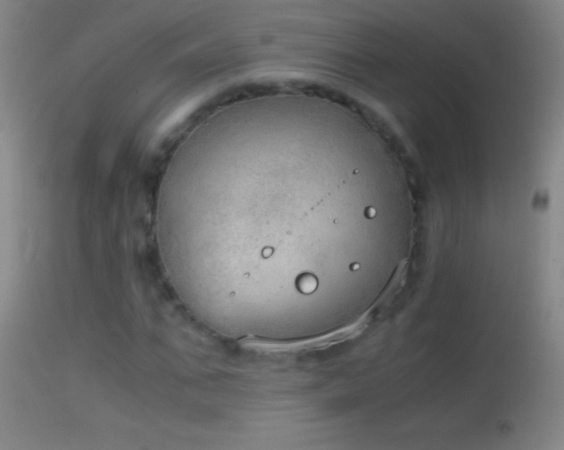 X0000114660871200910201528