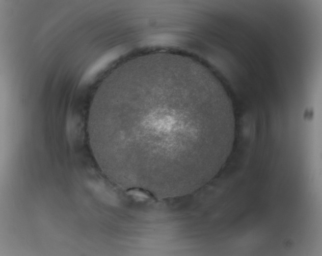 X0000114660872200910201528