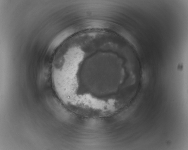 X0000114660874200910201528