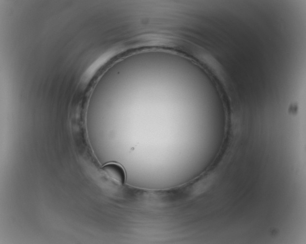 X0000114660875200910201528