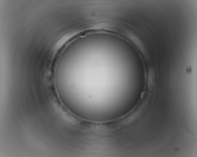 X0000114660876200910201528