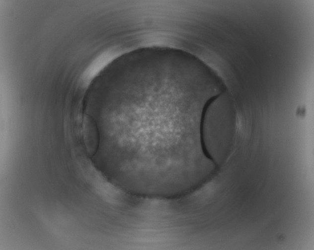 X0000114660877200910201528