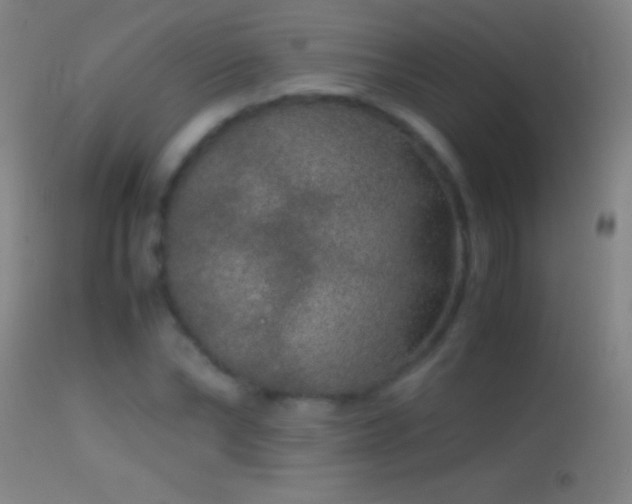 X0000114660878200910201528