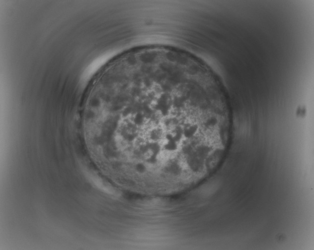 X0000114660879200910201528