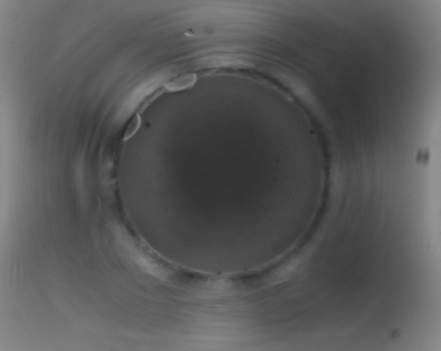 X0000114660881200910201528