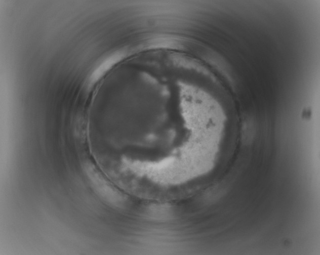 X0000114660882200910201528