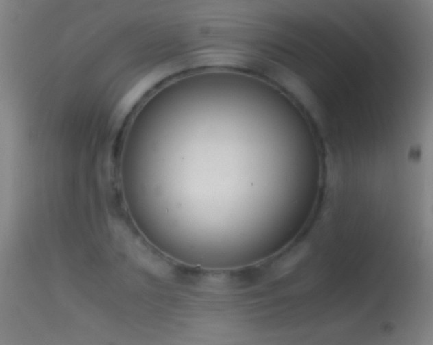 X0000114660883200910201528