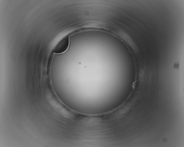 X0000114660884200910201528