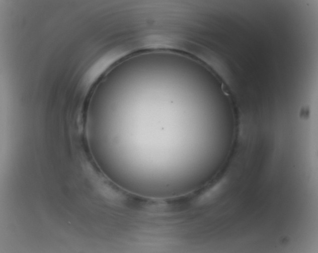 X0000114660885200910201528