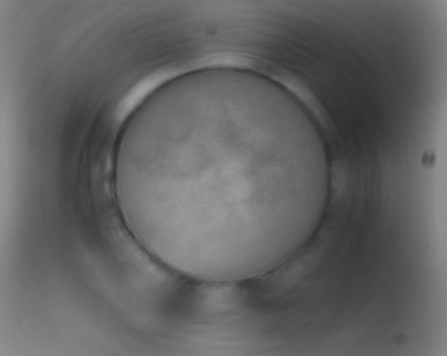 X0000114660886200910201528