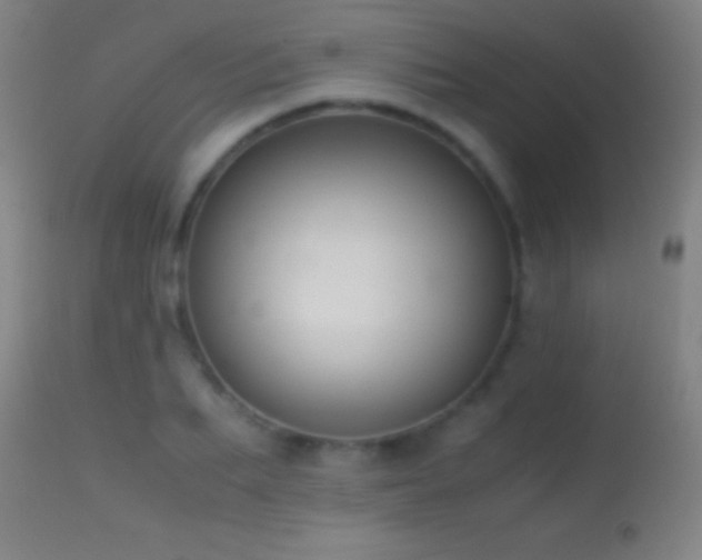 X0000114660887200910201528