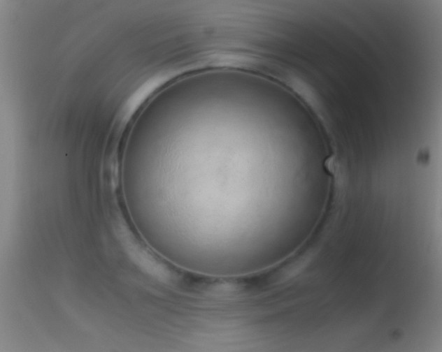 X0000114660891200910201528