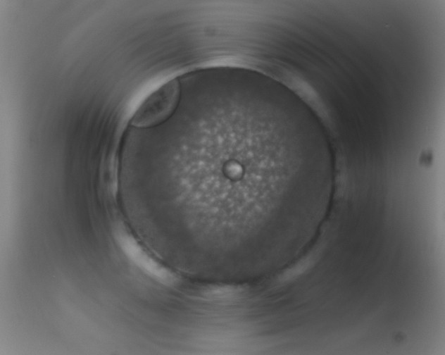 X0000114660892200910201528