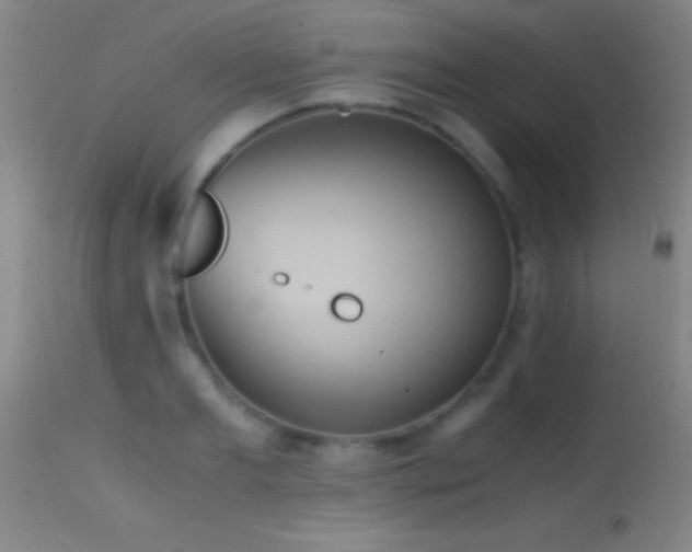 X0000114660893200910201528