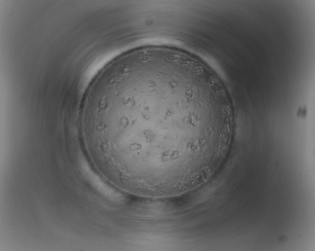 X0000114660895200910201528