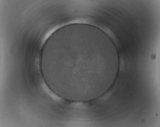 X0000114660896200910201528