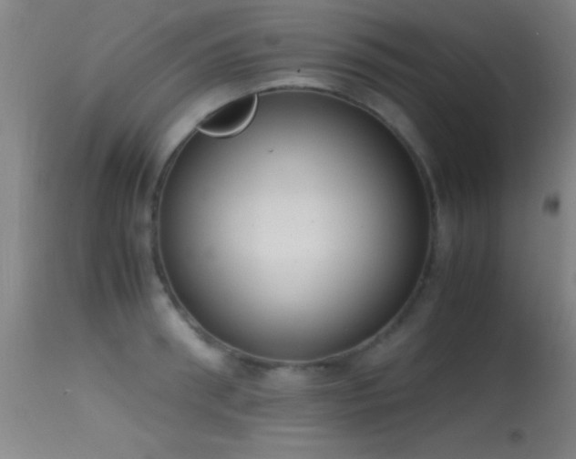 X0000114660898200910201528