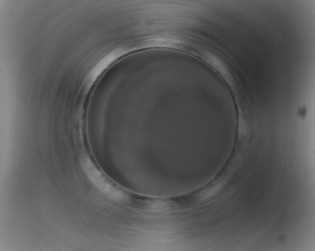 X0000114660899200910201528