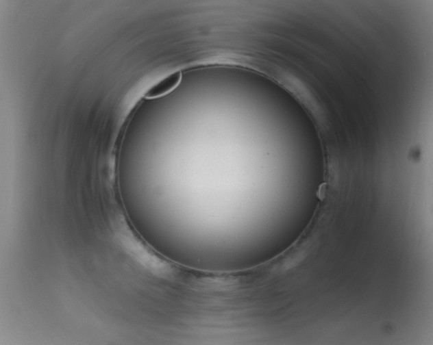 X0000114660900200910201528