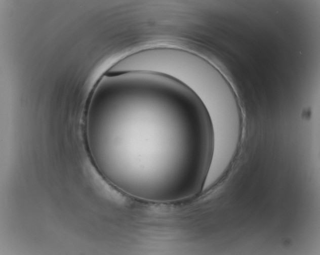 X0000114660901200910201528