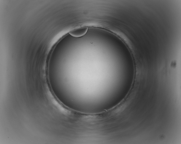 X0000114660902200910201528