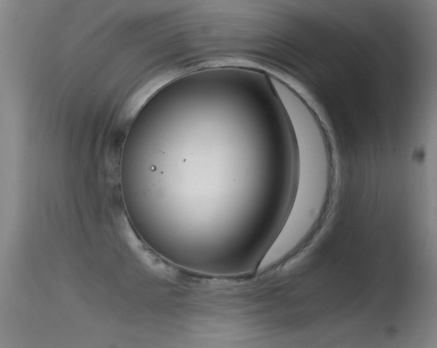 X0000114660905200910201528