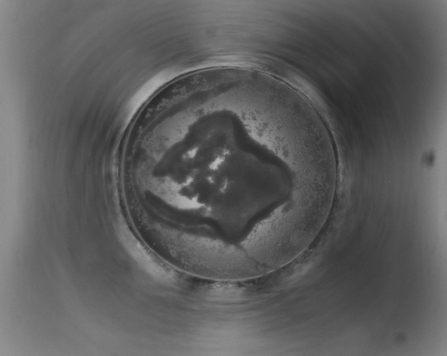 X0000114660907200910201528